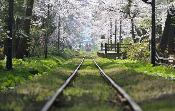 تصاویر : عکس‌های شگفت‌انگیز از مسابقه عکاسی نشنال جئوگرافیک