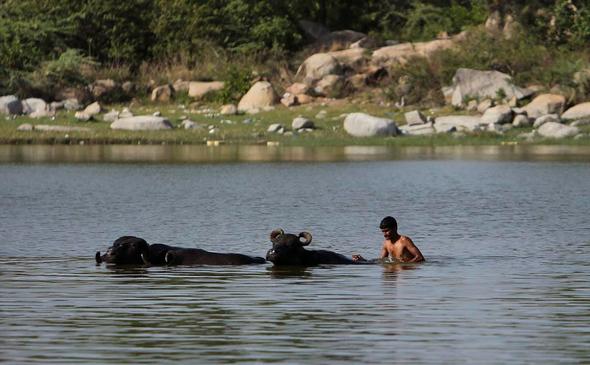تصاویر : موج گرما در هند‎