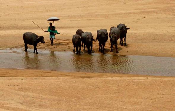 تصاویر : موج گرما در هند‎