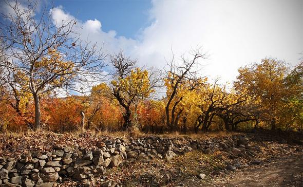 تصاویر : طبیعت پائیزی