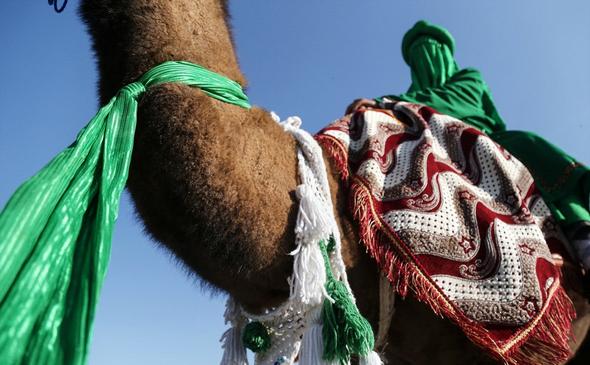 تصاویر : کاروان نمادین اسرای کربلا در عصر عاشورا