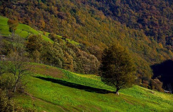 تصاویر :  پاییز در حیران