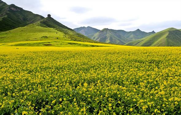 تصاویر : زیباترین استان چین
