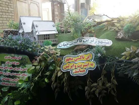 سبزترین تاکسی ایرانی + عکس