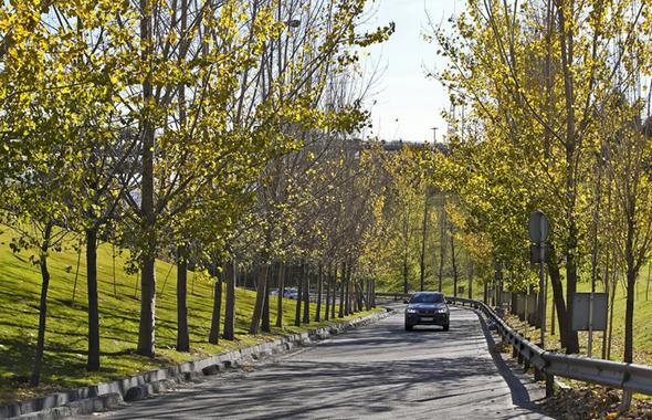 تصاویر : هوای پاک تهران