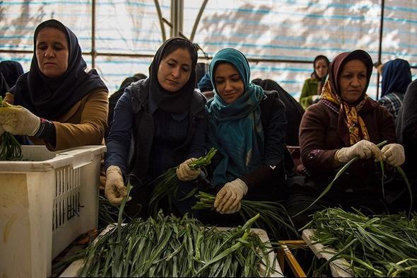 تصاویر : پخت آش 80 تنی بمناسبت ۲۸ صفر در  شیراز