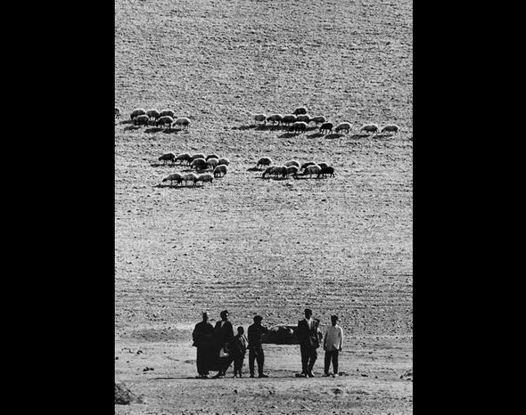 تصاویر: ایران 40 سال پیش از نگاه عکاس ایتالیایی