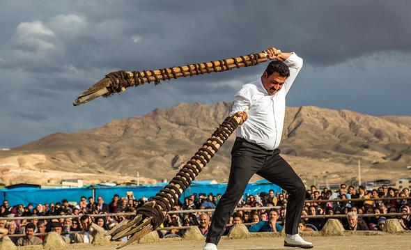 تصاویر : آیین بیل گردانی در محلات