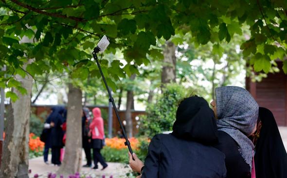 تصاویر : گل‌های زیبا در باغ ایرانی