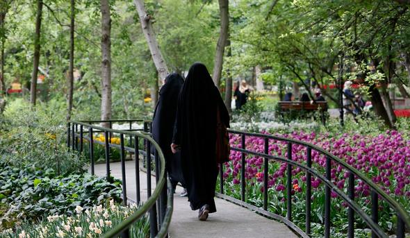 تصاویر : گل‌های زیبا در باغ ایرانی