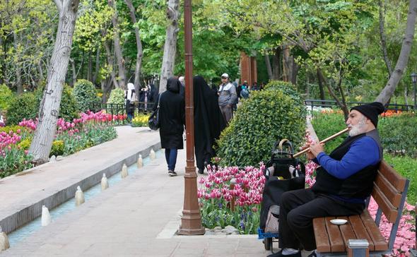 تصاویر : گل‌های زیبا در باغ ایرانی