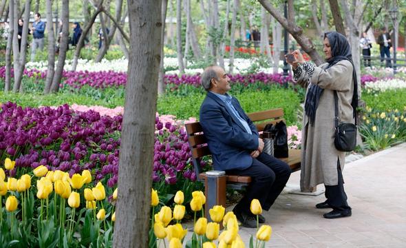 تصاویر : گل‌های زیبا در باغ ایرانی