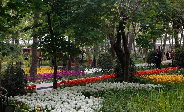 تصاویر : گل‌های زیبا در باغ ایرانی