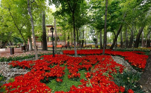 تصاویر : گل‌های زیبا در باغ ایرانی