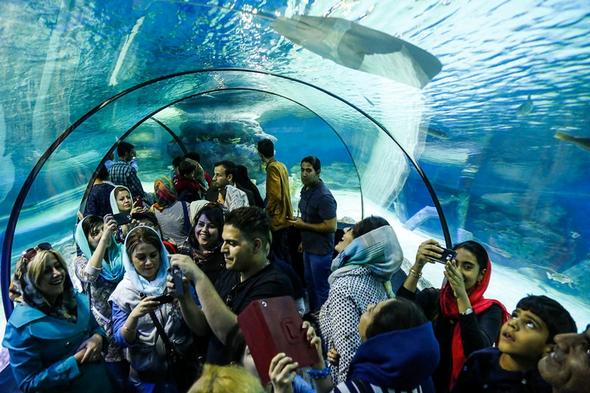 تصاویر :  بزرگترین تونل آکواریوم ایران در اصفهان‎