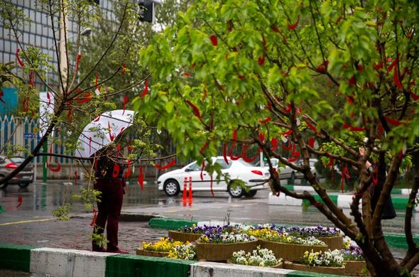 تصاویر :  باران بهاری در تهران