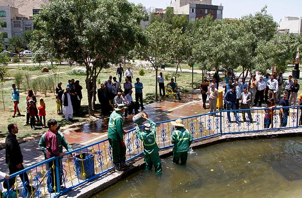 تصاویر : محل حادثه مرگبار برای دختربچه تهرانی