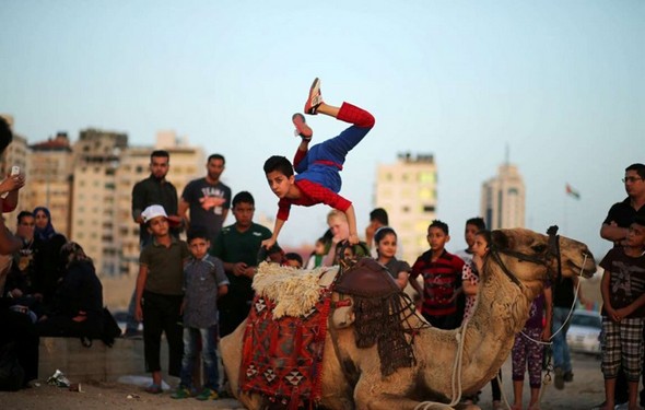 تصاویر : کودک عنکبوتی غزه