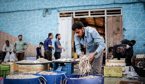 تصاویر : بازار ماهی فروشان آبادان