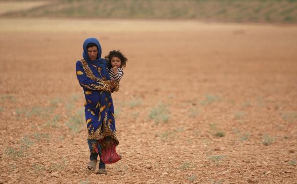 تصاویر : نبرد برای کنترل حلب