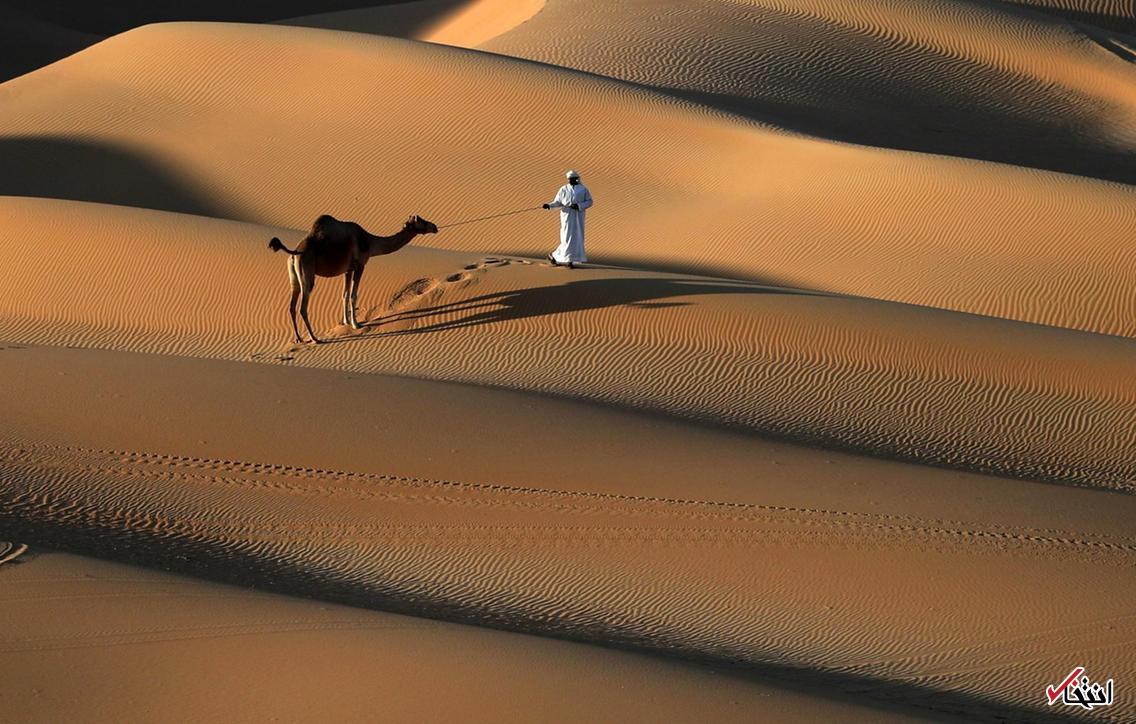 تصاویر : دیدنی&zwnj;های امروز چهارشنبه ۱۳ دی&zwnj;ماه
