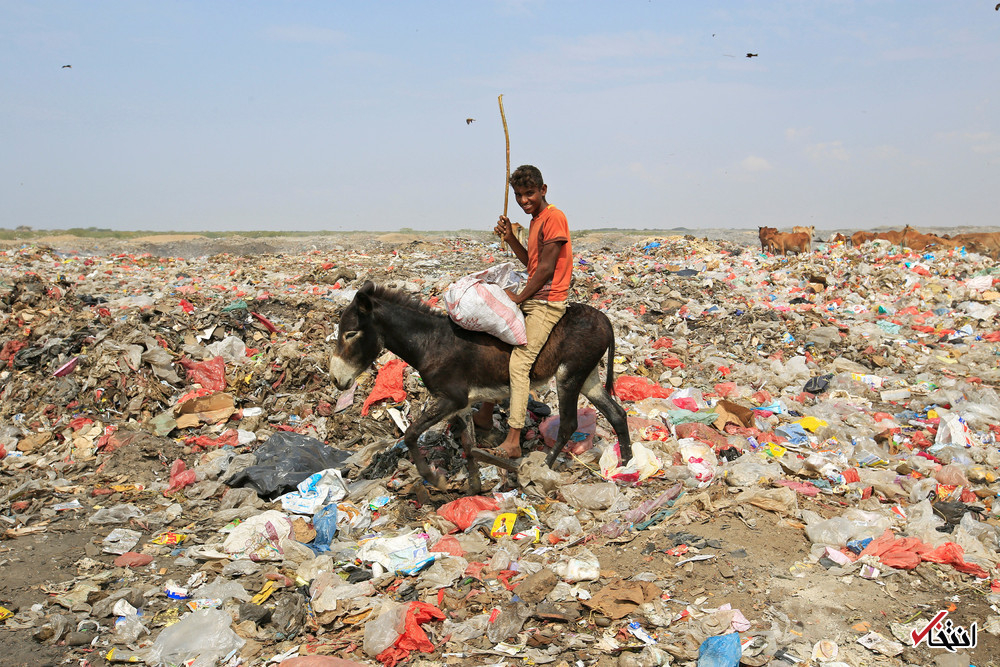 تصاویر : دیدنی&zwnj;های امروز سه شنبه ۱۹ دی&zwnj;ماه