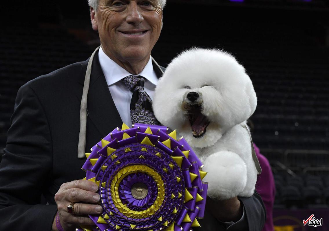 تصاویر : دیدنی&zwnj;های امروز پنجشنبه ۲۶ بهمن&zwnj;ماه