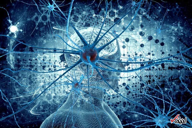 خوردن ماهی ریسک ابتلا به MS را کاهش میدهد خوردن ماهی ریسک ابتلا به MS را کاهش میدهد