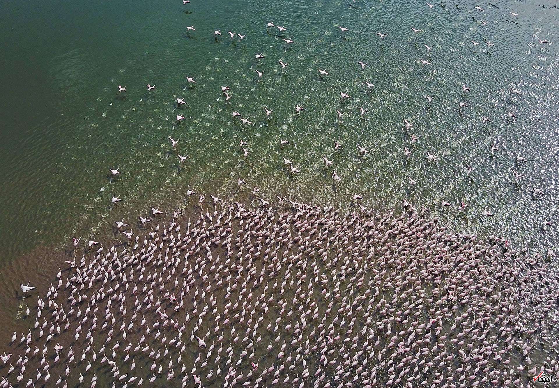 تصاویر : دیدنی‌های امروز چهارشنبه ۷ تیرماه