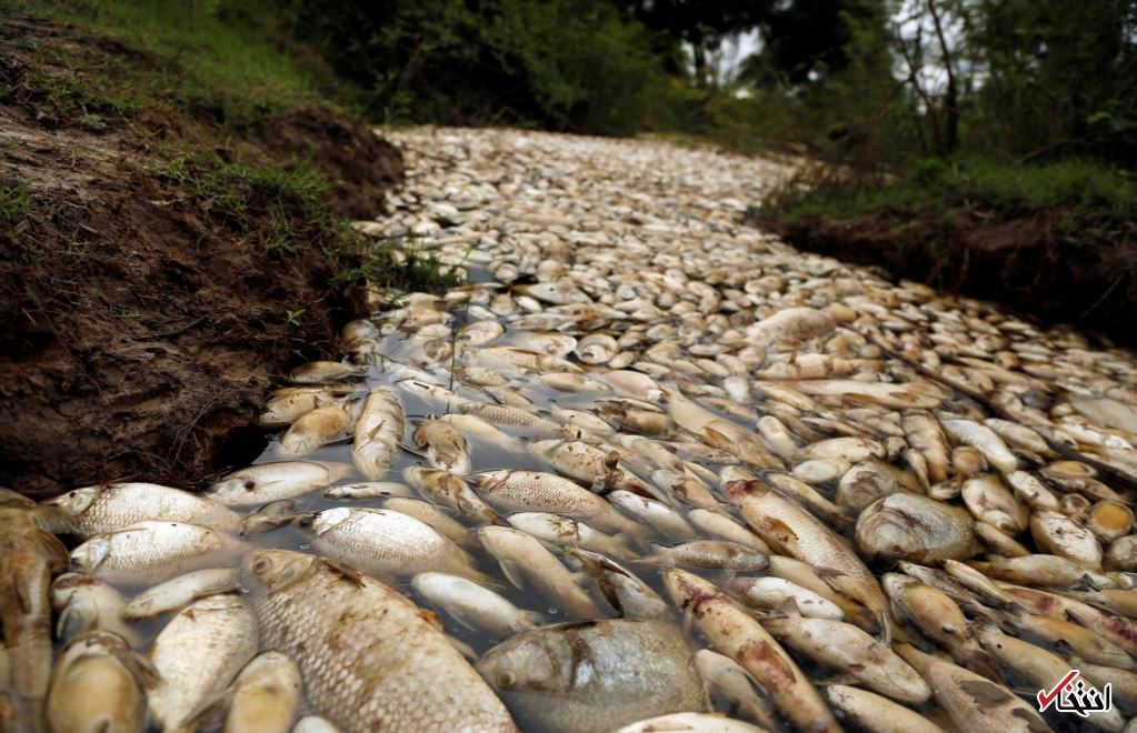 تصاویر : دیدنی&zwnj;های امروز دوشنبه ۲۴ مهرماه