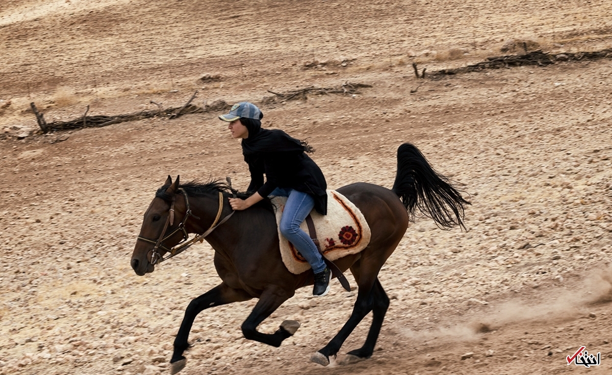 تصاویر روز :