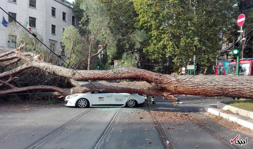 تصاویر : دیدنی&zwnj;های امروز چهارشنبه ۳ آبان&zwnj;ماه