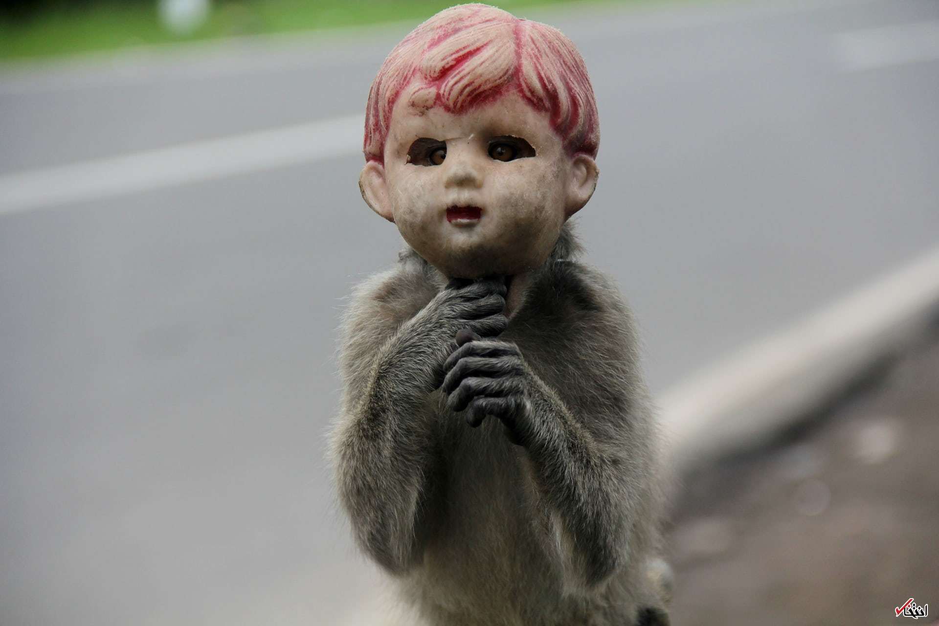 تصاویر : دیدنی&zwnj;های امروز جمعه ۳ آذرماه