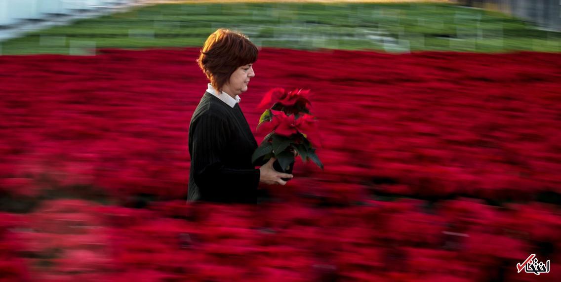 تصاویر : دیدنی&zwnj;های امروز جمعه ۳ آذرماه