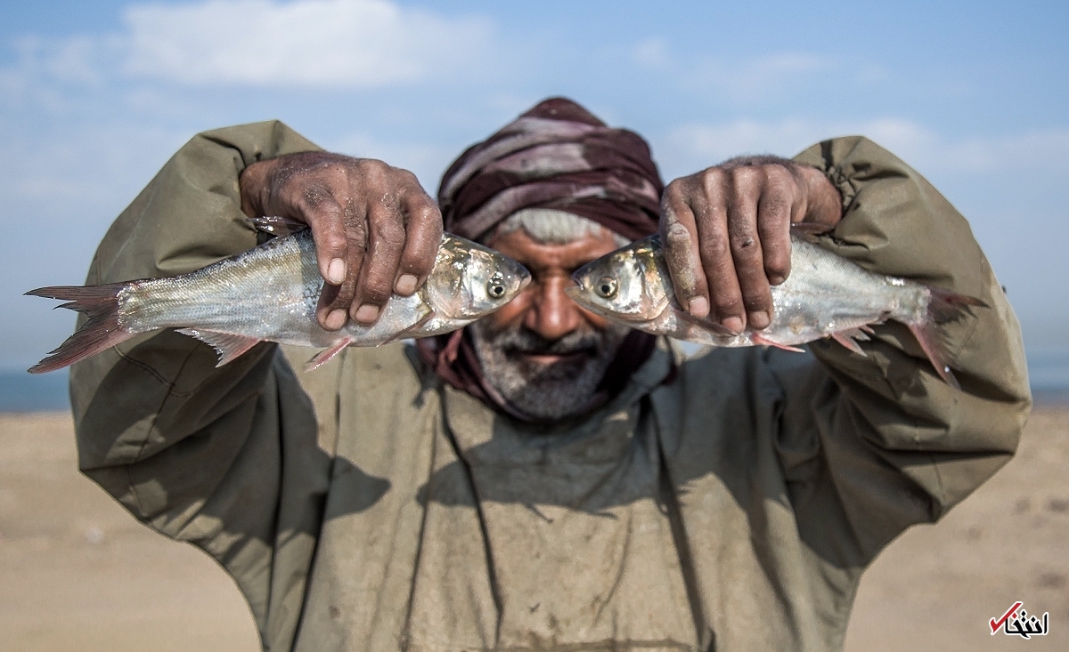 تصاویر روز :