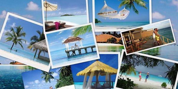 چگونه بلیط هواپیما را ارزان تر بخریم. تیک بان یا گردشا؟