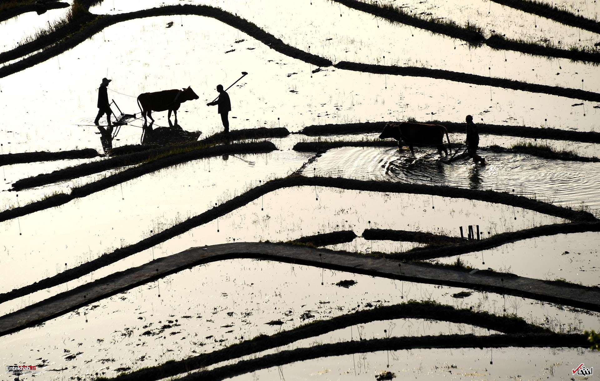 تصاویر : دیدنی&zwnj;های امروز چهارشنبه ۲۲ فروردین&zwnj;ماه