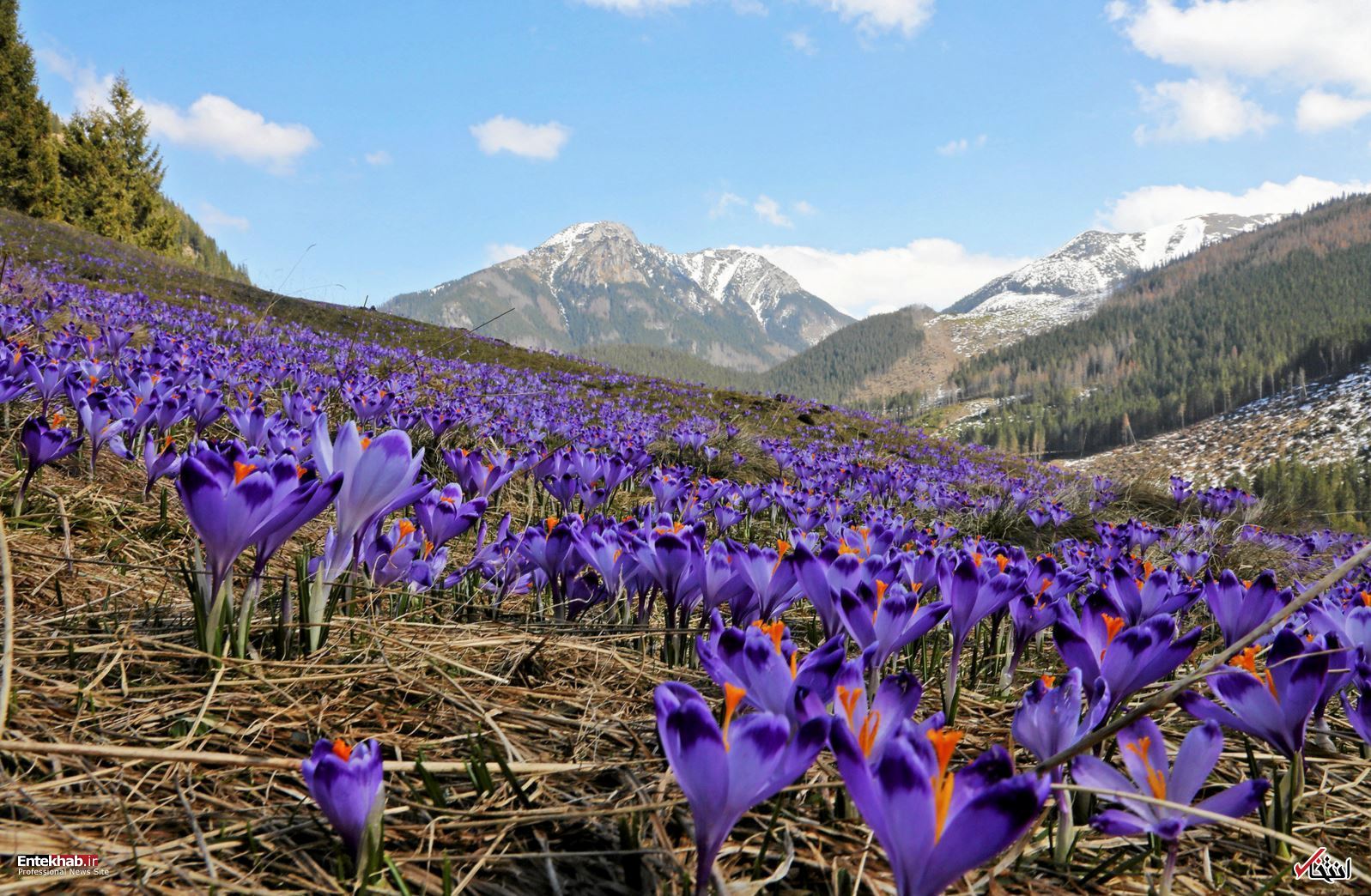 تصاویر : دیدنی&zwnj;های امروز چهارشنبه ۲۲ فروردین&zwnj;ماه