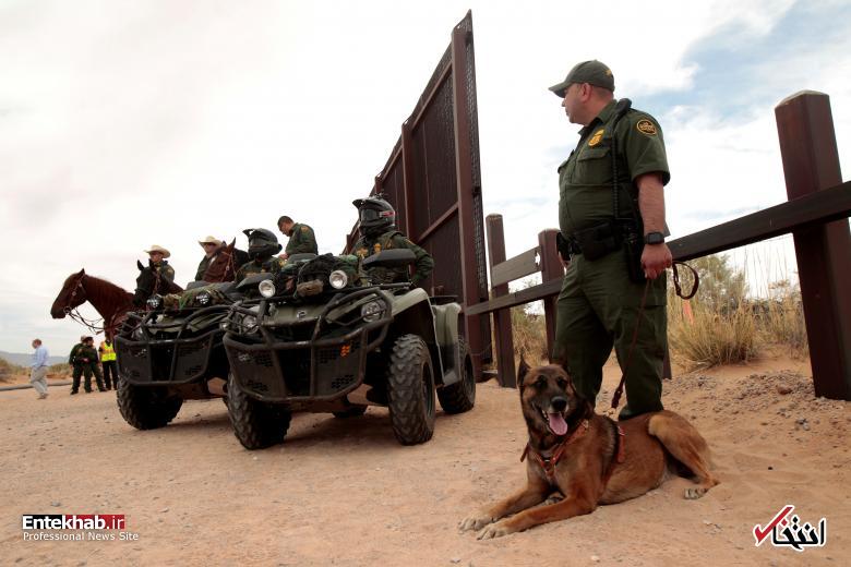 تصاویر : دیدنی&zwnj;های امروز چهارشنبه ۲۲ فروردین&zwnj;ماه