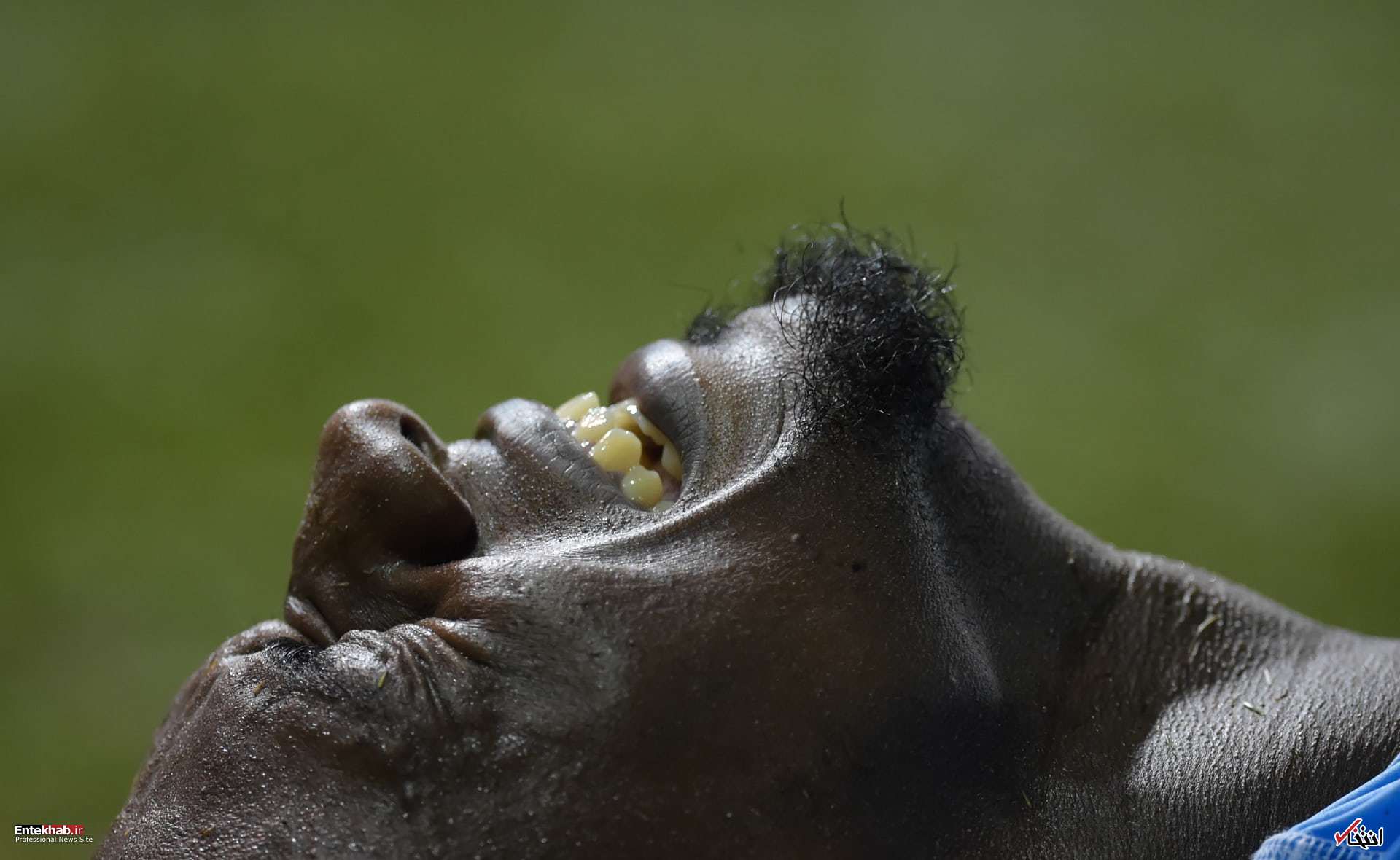 تصاویر : دیدنی&zwnj;های امروز پنج&zwnj;شنبه ۲۳ فروردین&zwnj;ماه