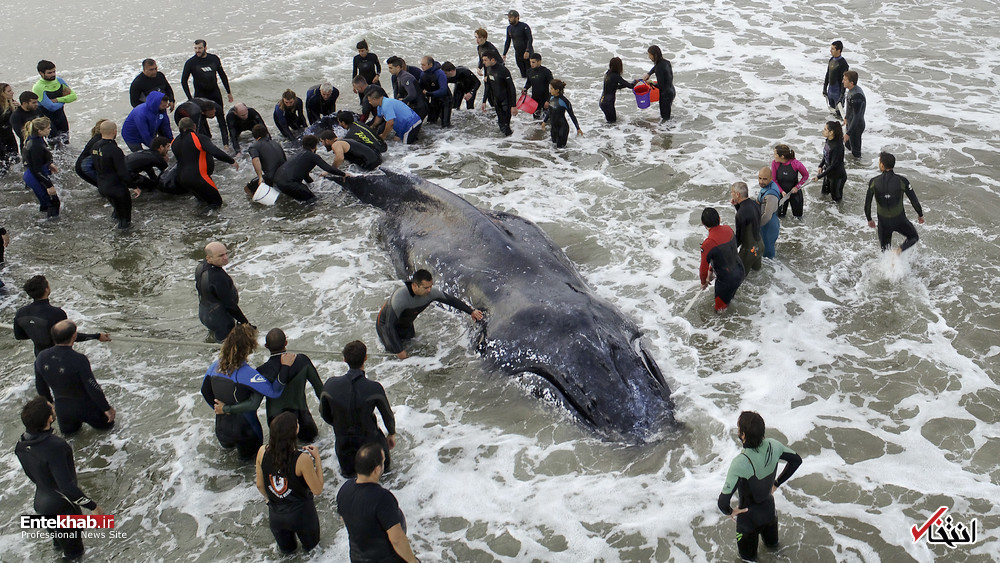 تصاویر : دیدنی&zwnj;های امروز پنج&zwnj;شنبه ۲۳ فروردین&zwnj;ماه
