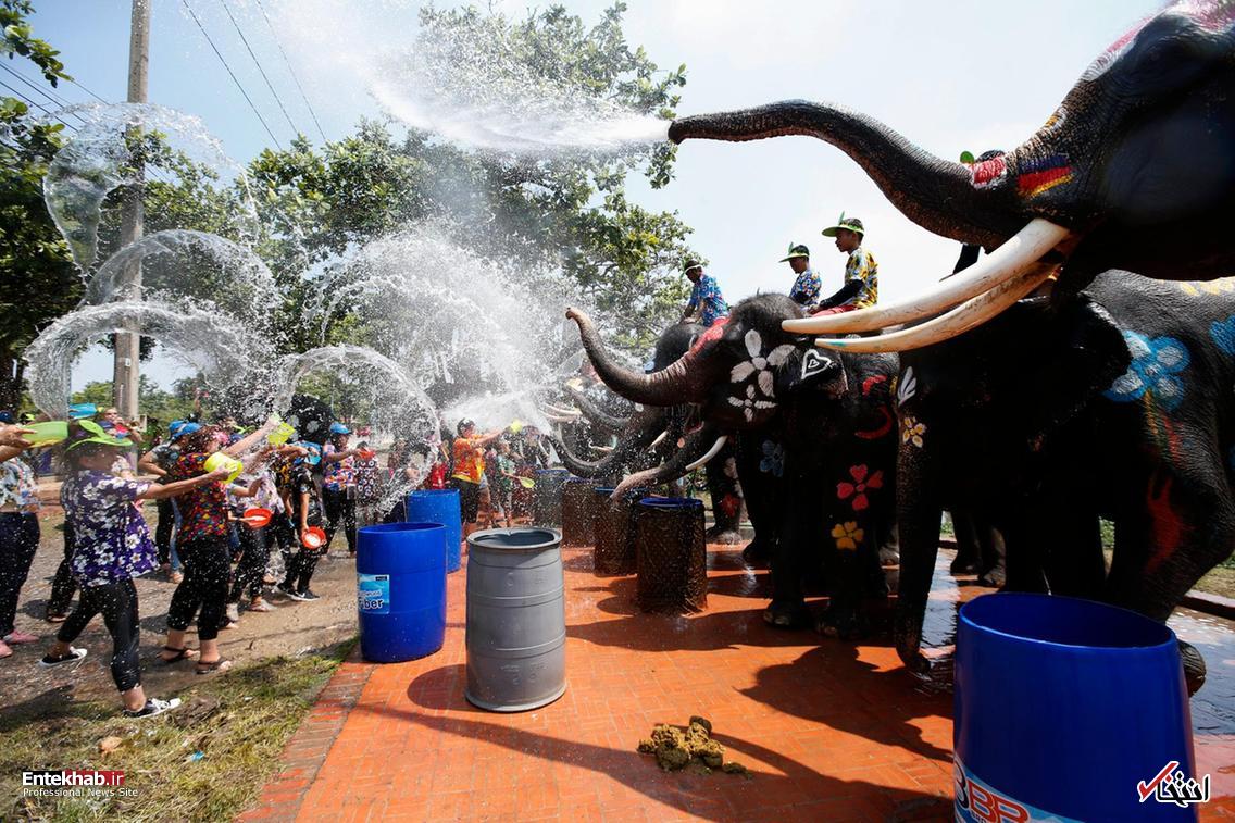 تصاویر : دیدنی&zwnj;های امروز پنج&zwnj;شنبه ۲۳ فروردین&zwnj;ماه