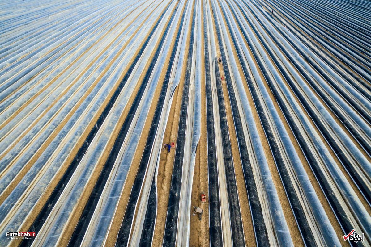 تصاویر : دیدنی&zwnj;های امروز پنج&zwnj;شنبه ۲۳ فروردین&zwnj;ماه