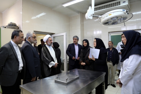 بروجردی: فرهنگسازی استاندارد نیازمند عزم ملی است