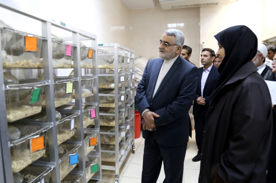 بروجردی: فرهنگسازی استاندارد نیازمند عزم ملی است