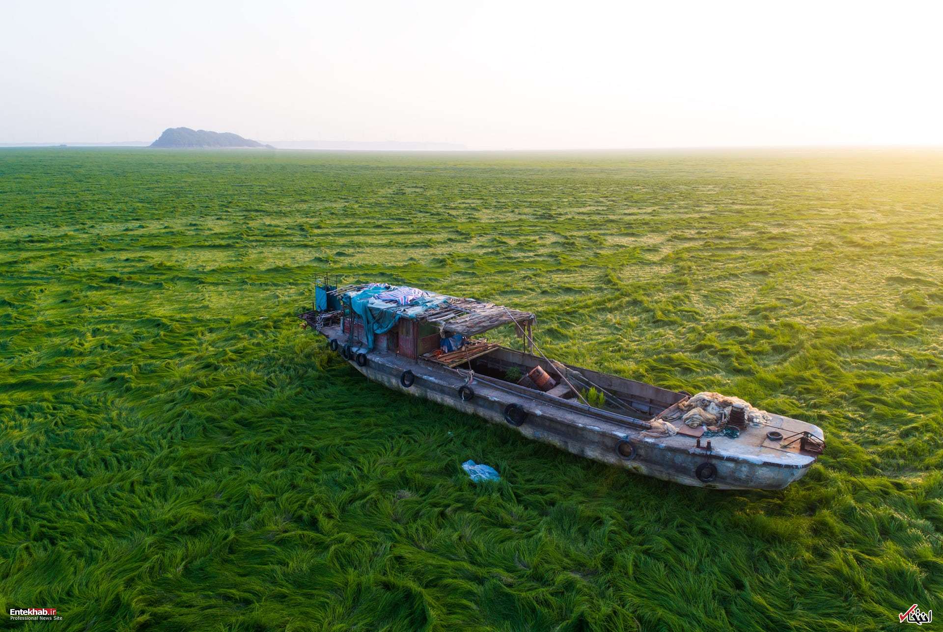 تصاویر : دیدنی&zwnj;های امروز پنج&zwnj;شنبه ۳۰ فروردین&zwnj;ماه