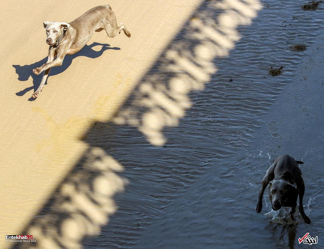 تصاویر : دیدنی&zwnj;های امروز پنج&zwnj;شنبه ۳۰ فروردین&zwnj;ماه