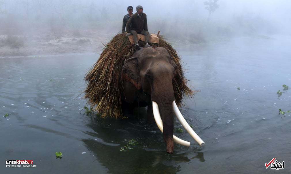 تصاویر : دیدنی&zwnj;های امروز دوشنبه ۹ دی ماه