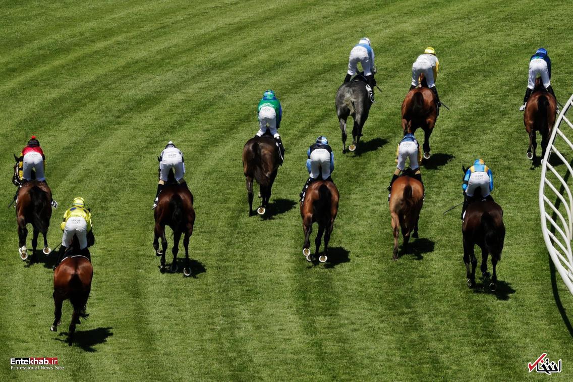 تصاویر : دیدنی&zwnj;های امروز دوشنبه ۹ دی ماه