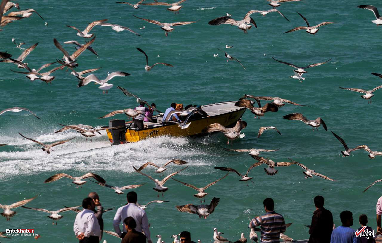 تصاویر روز : تصاویر روز :